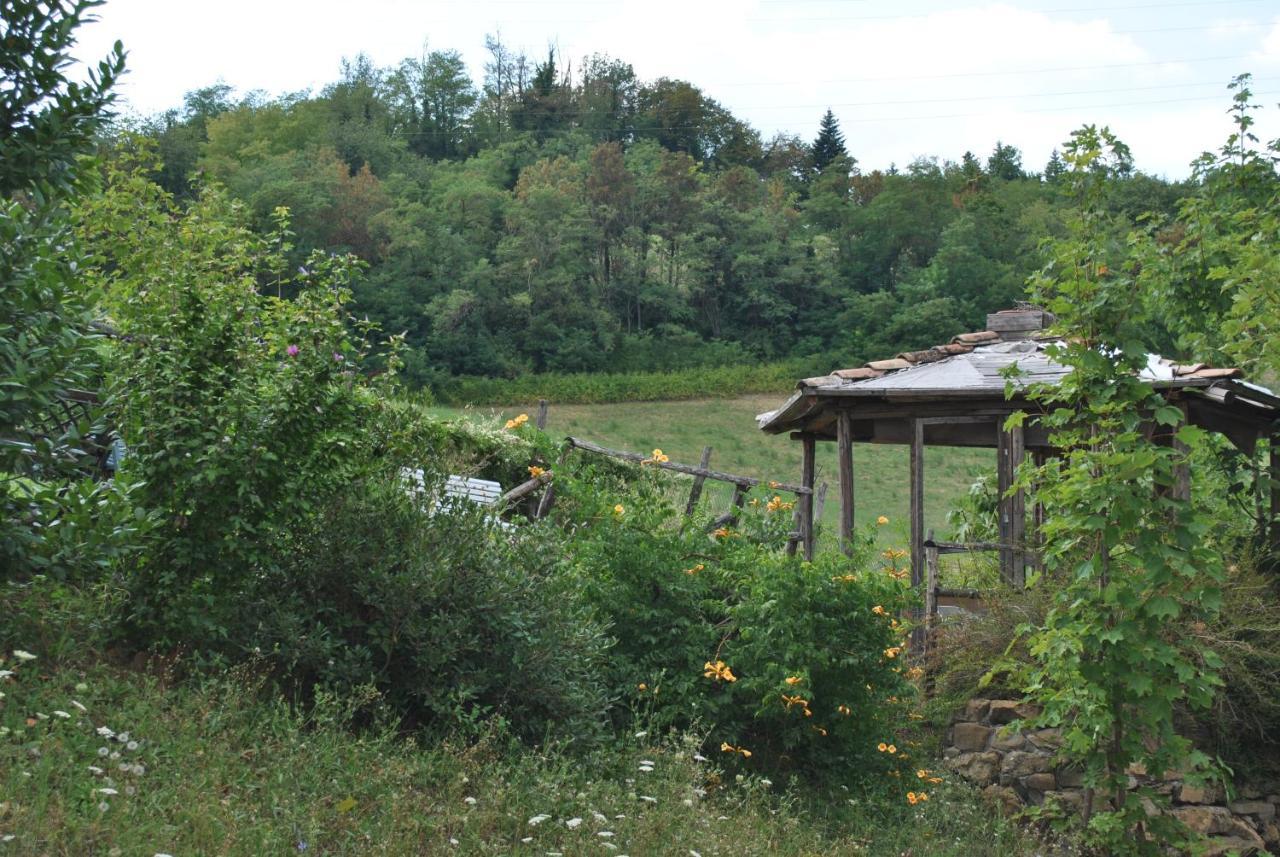 Agriturismo Petrarosa Neviano degli Arduini Exteriér fotografie